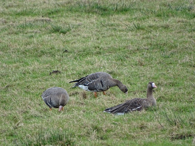 获了宝贵的 获了宝贵的