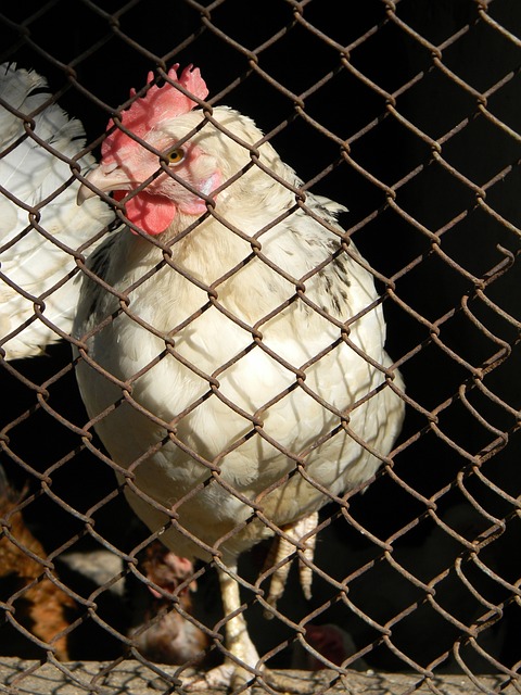 內部已開始 內部已開始