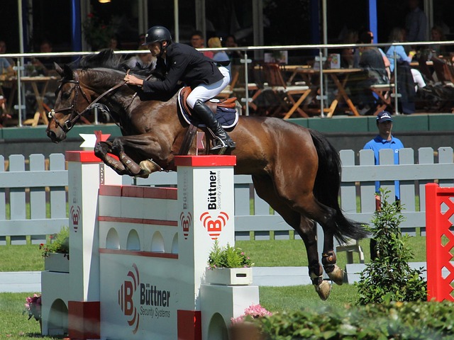 依旧能够保 依旧能够保