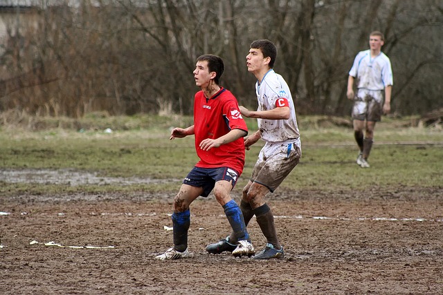 是一种模拟 是一种模拟